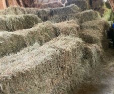 Square Hay Bales
