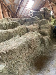 Hay Bales