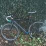bike Image 3