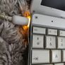 Apple Powerbook G4 and charger Image 5