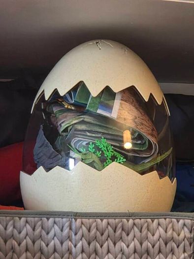 Dinosaur World Egg 50 Piece Figures and Accessories Set