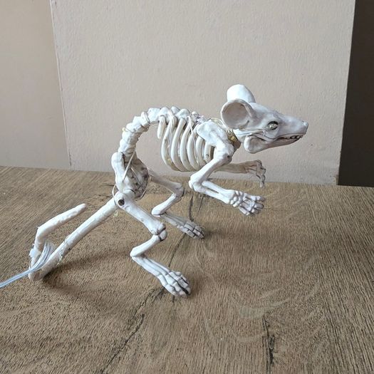 Halloween Skeleton mouse