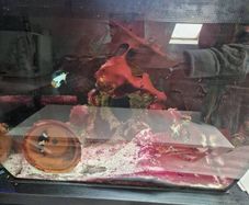 Saltwater fishtank, Marine fishtank