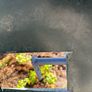 10ft farm gates x2 Image 4