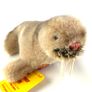 Vintage Steiff Wally Walrus German Collectable Toy Image 3
