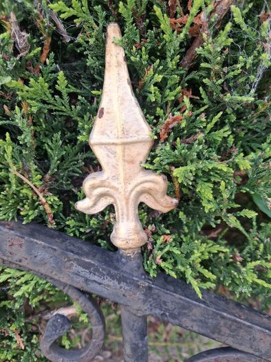 Wrought iron gates