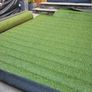 Artificial Grass Image 2