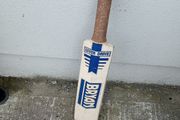 vintage cricket bat