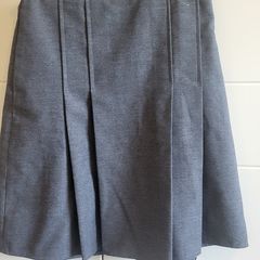 School skirt