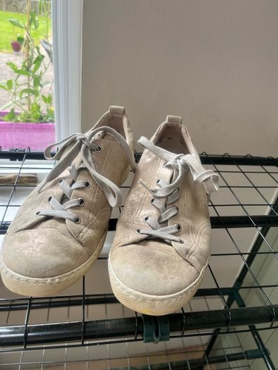 Paul Green Trainers