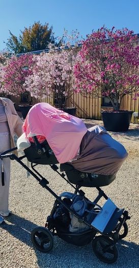 Mountain Buggy Duet Luxury Herringbone Twin Buggy + Carrycots & Car Seats