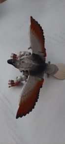 Transformer / toy