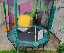 Smyths 6ft trampoline