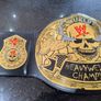 Official WWE / WWF Figs 2007 Stoke Cold Steve Austin Smoking Skull Replica Title Belt Image 4