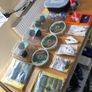 Fishing Accessories Gear Sea Pike Tench Float Carp Perch Image 3