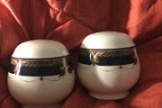 Noritake Keltcraft Tranquil Glen Salt &amp; Pepper shakers