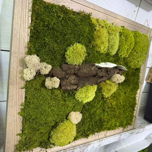 Wall decor 40x50cm natural moss