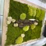 Wall decor 40x50cm natural moss Image 2
