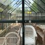 Greenhouse Image 2