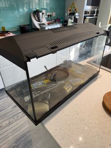 AQuael Fish tank