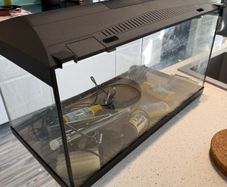 AQuael Fish tank