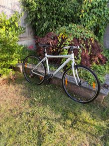 Men's Felt Hybrid Bike Shimano 21 Speed