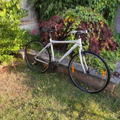 Men's Felt Hybrid Bike Shimano 21 Speed