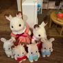Sylvanian cottage and rainbow nursery bus with extras Image 8