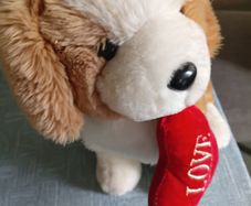 Soft Puppy Dog Toy