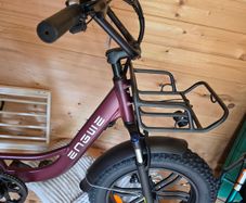 E Bike