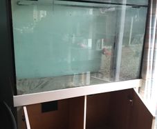 swap aquarium