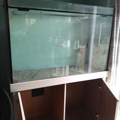 swap aquarium