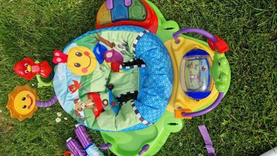 Baby Einstein Baby Activitiy Jumper