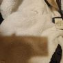 Ci Sono camouflage bomber jacket size M UK12 EU40 Postage included Image 10
