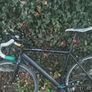 bike Image 4