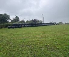 Hay/silage/haylage