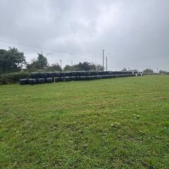 Hay/silage/haylage