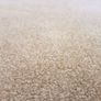 carpet Image 8