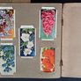 wild flowers cigarette cards Image 2