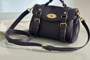 Mulberry Mini Alexa Bag