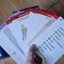 QuickStudy Anatomy Flash Cards (300 Cards, 14 Systems) Image 7