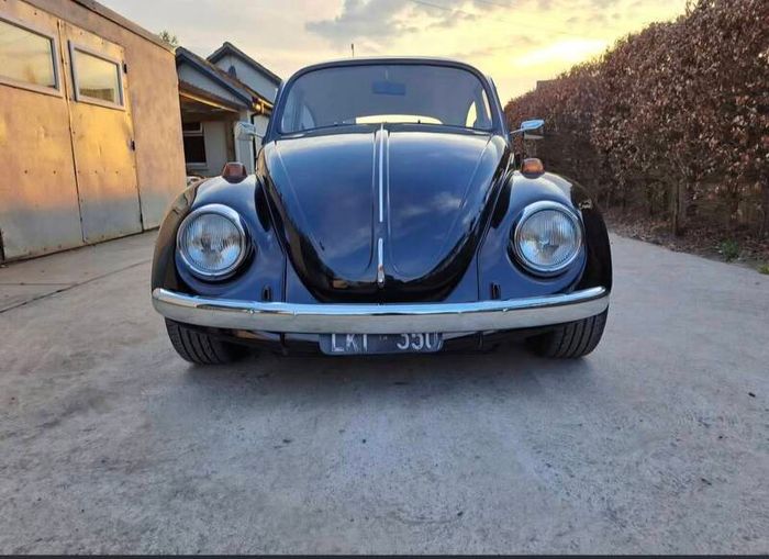 vw beetle