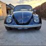 vw beetle Image 2