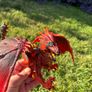Schleich Eldrador Lava Dragon Image 4