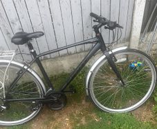 Giant Bicycle