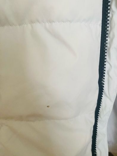 calvin klein jacket
