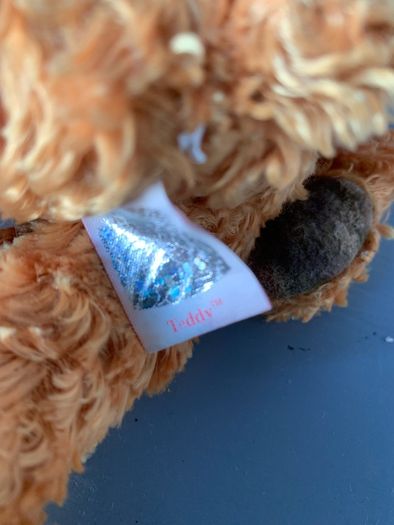 TY Bear Teddy