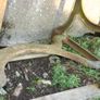 Antique Victorian Iron Mangle - Flower Bed Image 5