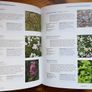 Plant Solutions Nigel Colborn Image 4