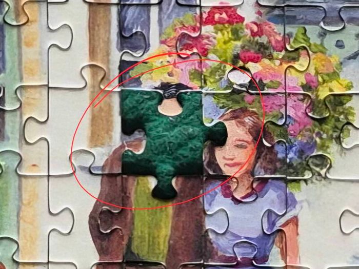 Jigsaw Puzzle